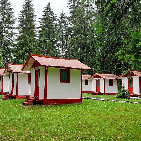 Casute Valea Zanelor Covasna Exterior foto