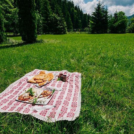 Casute Valea Zanelor Covasna Exterior foto