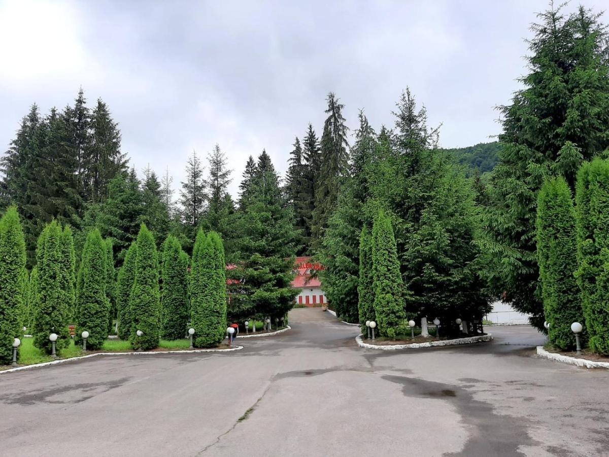 Casute Valea Zanelor Covasna Exterior foto