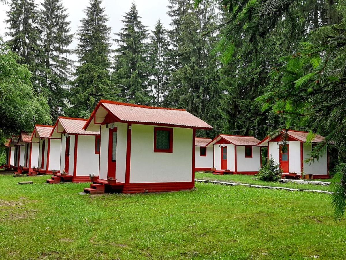 Casute Valea Zanelor Covasna Exterior foto