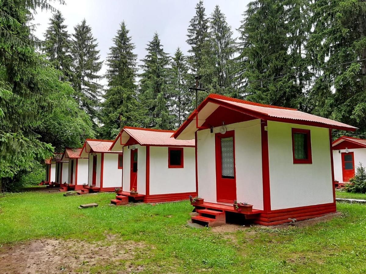 Casute Valea Zanelor Covasna Exterior foto
