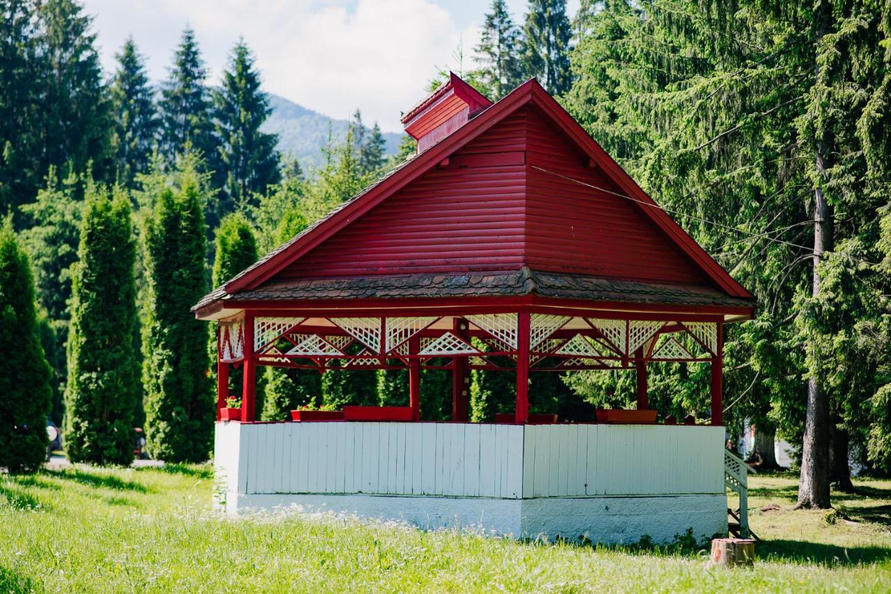 Casute Valea Zanelor Covasna Exterior foto